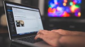WordPress Basis